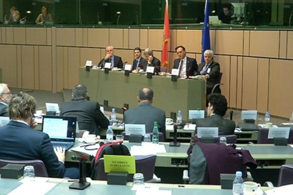 Evropski parlament CG parlamentarci, Foto: Gov.me