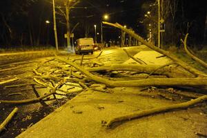 Oluja nanosi ozbiljnu štetu Poljskoj: 100.000 ljudi ostalo bez...