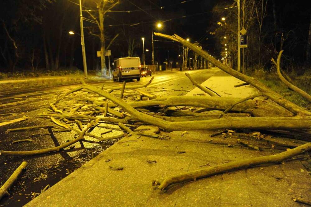 Šćećin Poljska, Foto: Thenews.pl