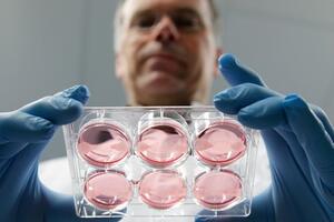 Osam inovacija koje su svijet učinile boljim u 2013.