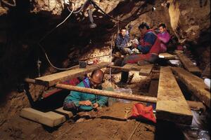 Evolucija kakvu poznajemo pod upitnikom?