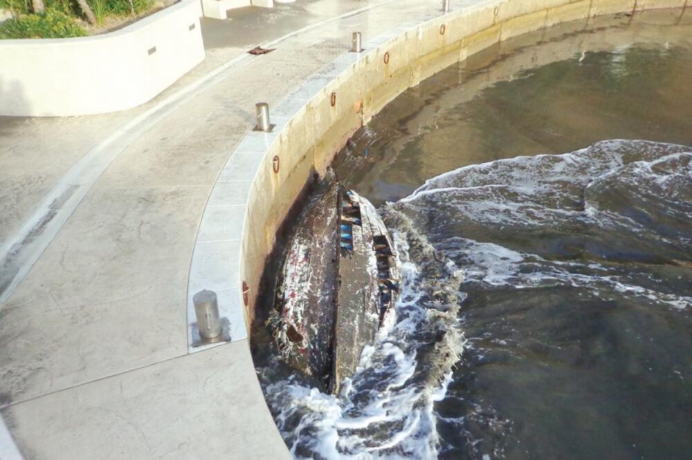 Čamac, Ulcinj, Foto: Samir Adrović