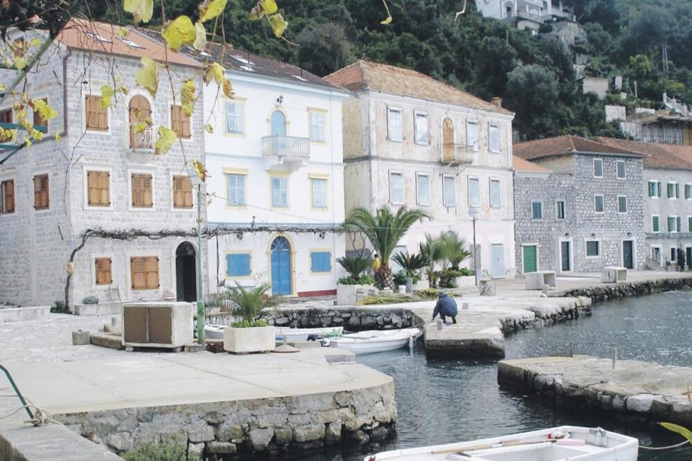 rose, Foto: Siniša Luković