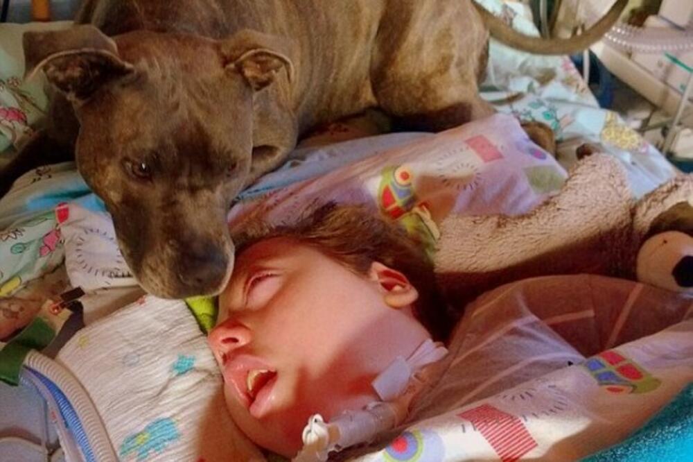 Taša i Dilan, Foto: Facebook