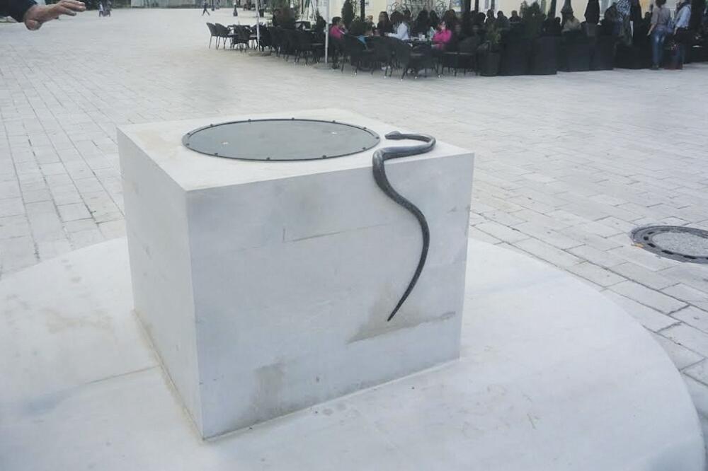 Dimitrije Popović, bunar, Foto: Privatna arhiva