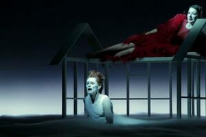 „Život i smrt Marine Abramović” u Luvru