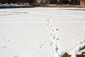 Novo odlaganje u Pljevljima, Lovćen - Mladost u Podgorici