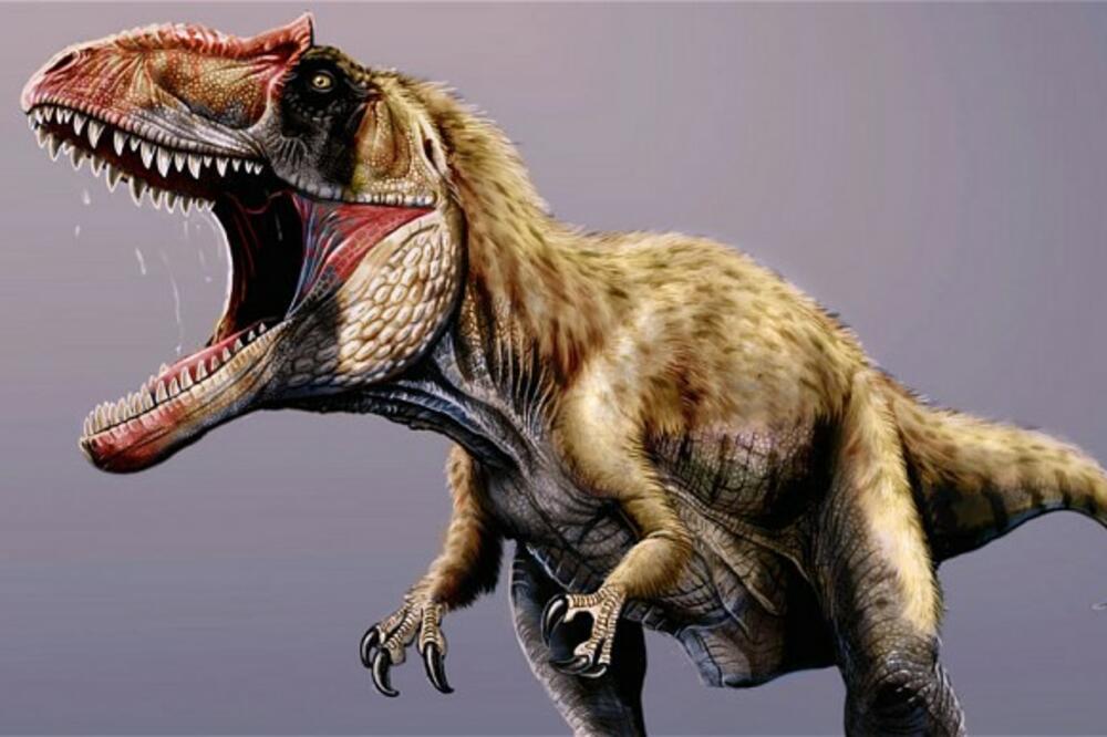 Sijač mikerorum, Foto: Telegraph.co.uk