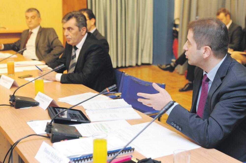 Odbor za ekonomiju, Foto: Savo Prelević