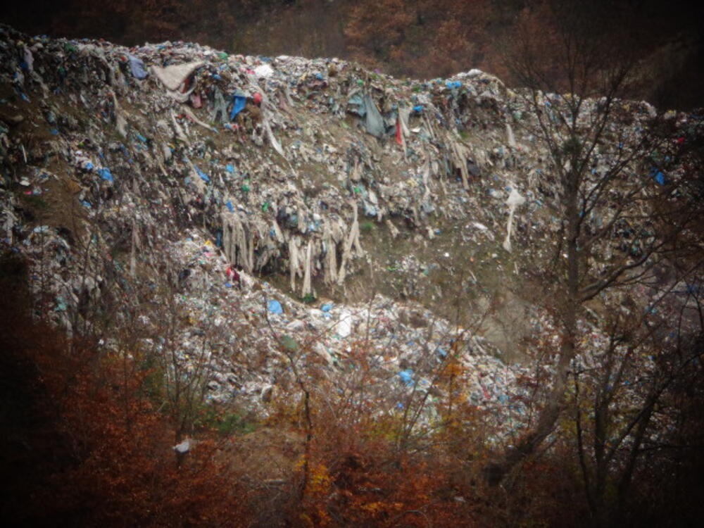 Beranselo Dan ekoloških pokreta