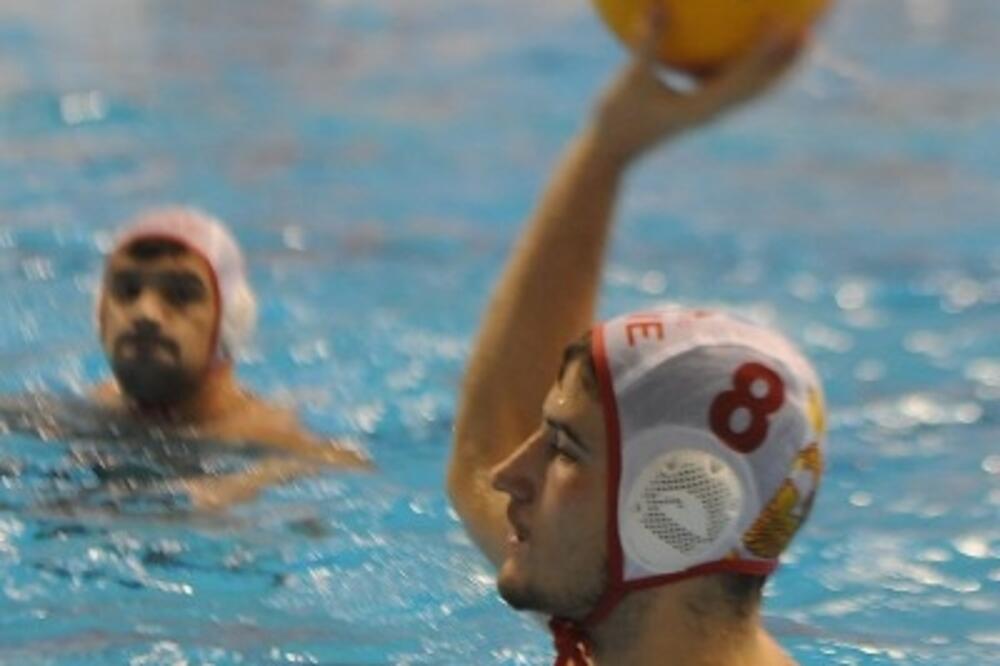 Konatar_1, Foto: V.BELOJEVIĆ