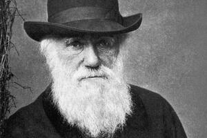 150 godina kasnije: Engleska crkva se izvinjava Čarlsu Darvinu