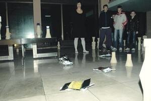 Izložba Ane Miljkovac u nikšićkom Institutu crne metalurgije