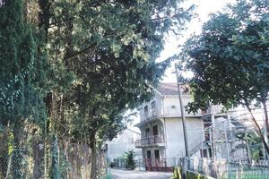 Grane padaju po glavama, lome vozila i ograde