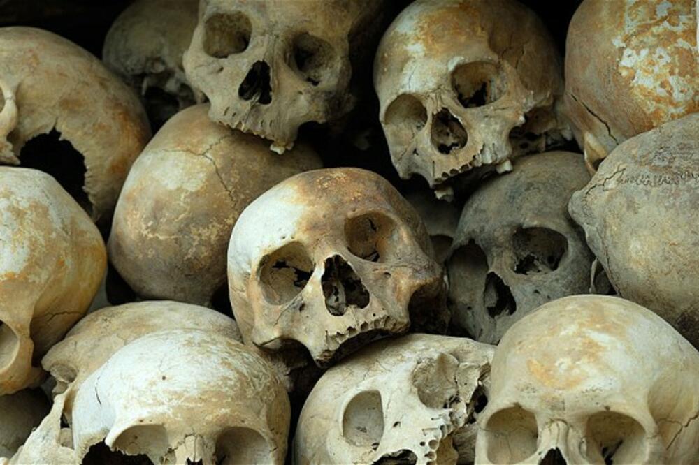 Lobanje, Foto: Telegraph.co.uk