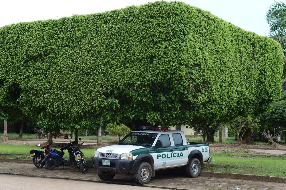 Kolumbija policija, Kolumbijska policija, Foto: Shutterstock