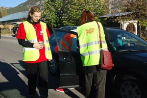 Akcija SDP na Cetinju: Siguran korak