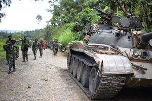 Vlada Konga: Pobijedili smo pobunjenike