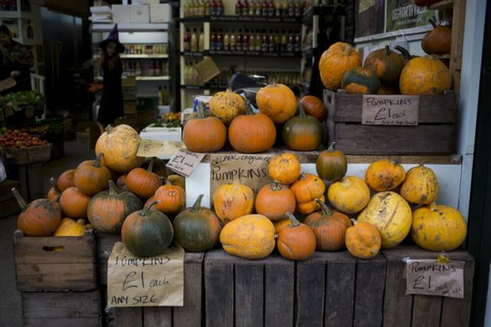 Bundeve, Foto: Beta/AP