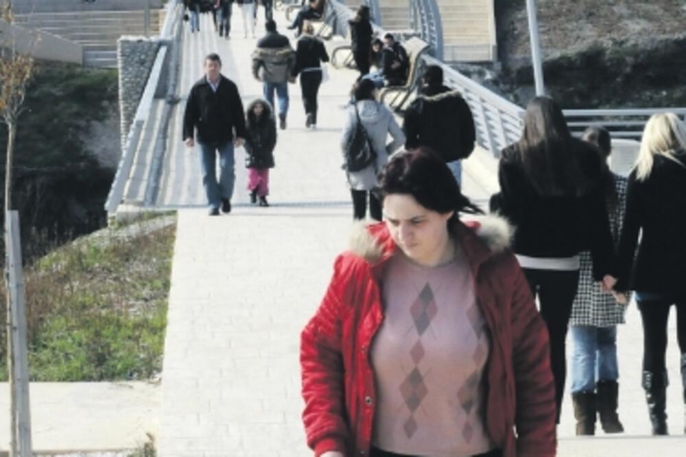 kućni ljubimac, povodac, Foto: Luka Zeković