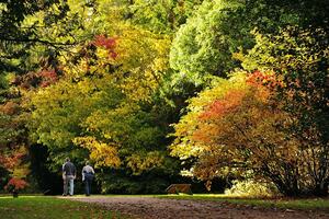 Danas pretežno sunčano, do 26 stepeni