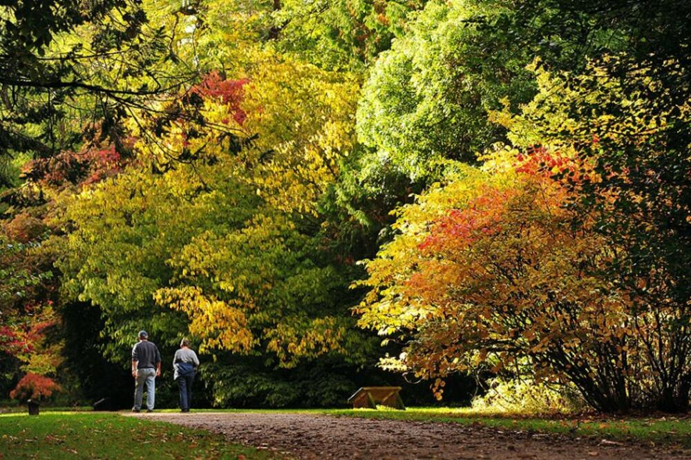 jesen, Foto: Telegraph