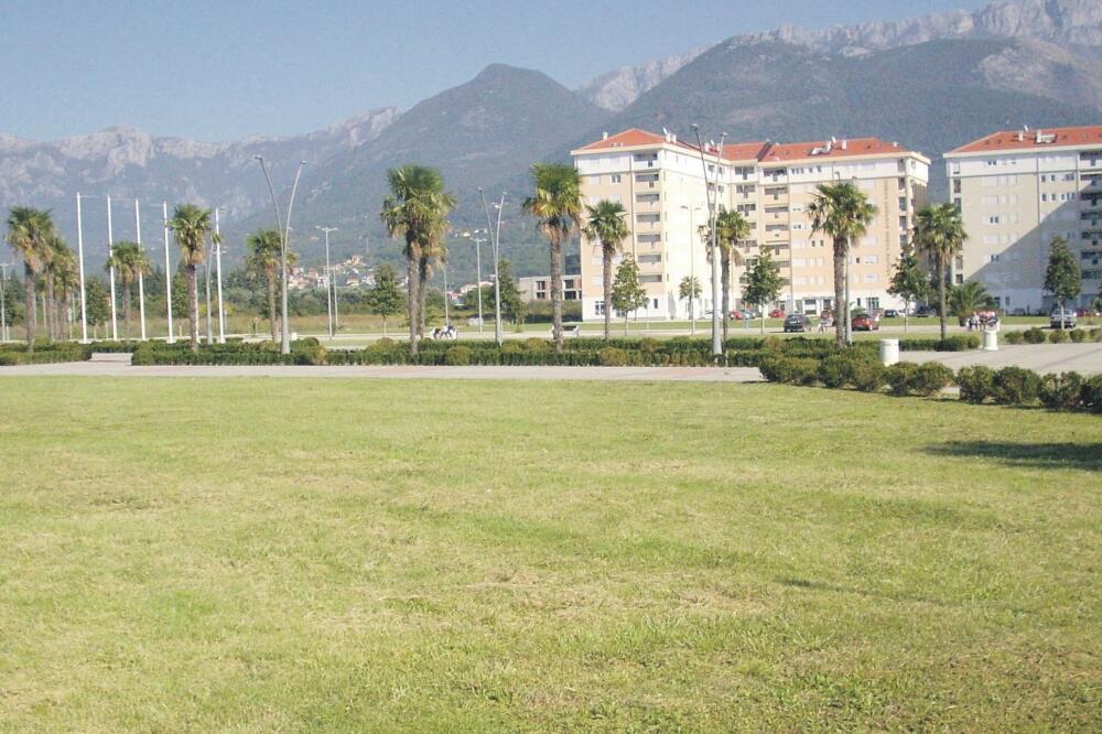 travnjak, Foto: Radomir Petrić