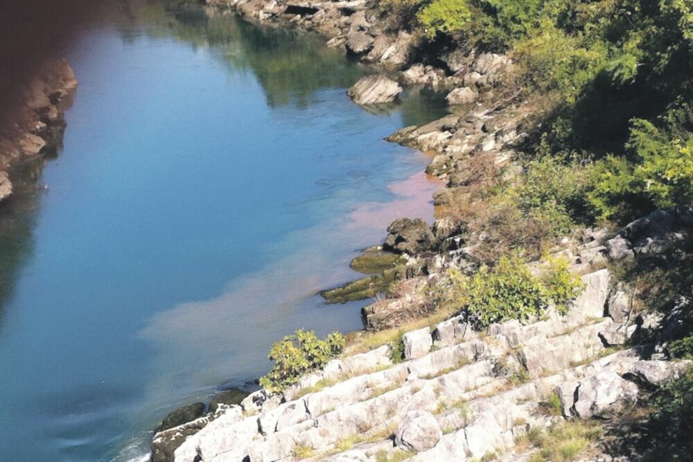 Morača fekalije, Foto: Čitalac reporter