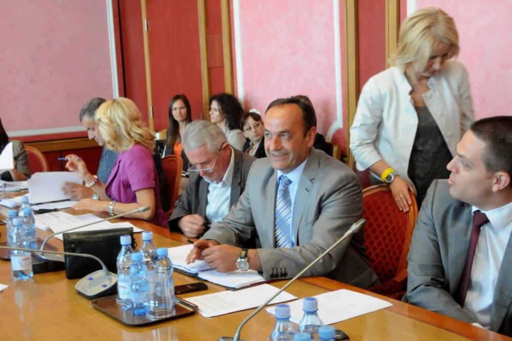 Odbor za politički sistem, Foto: Boris Pejović