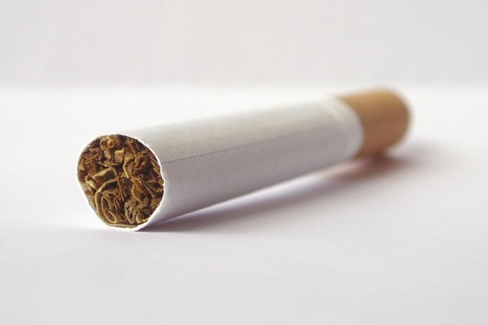 Cigara, Foto: Sofiaglobe.com