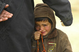 Sirijci jedu i pse i mačke