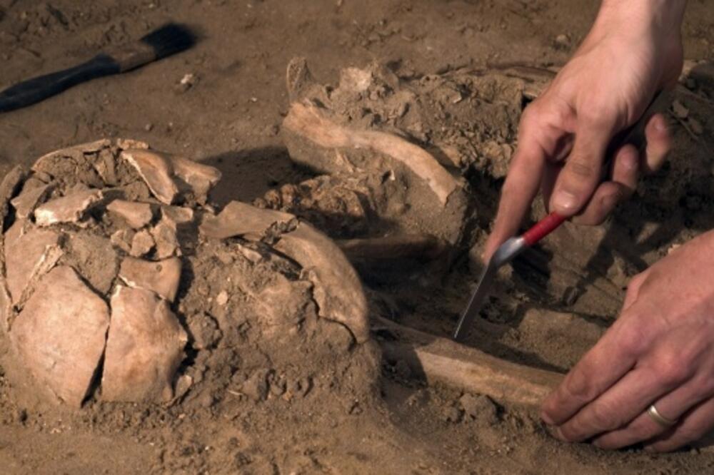 lobanja, Foto: Mondo.rs