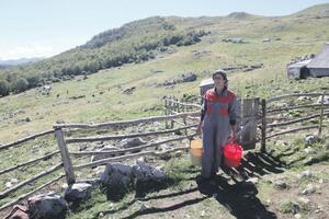 Poljoprivrednica iz Kolašina bez odmora 20 godina