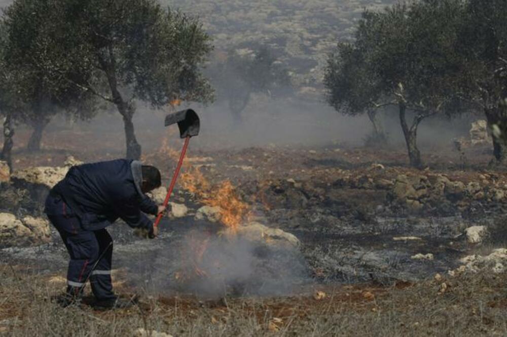 Palestina, napad, Foto: Beta/AP
