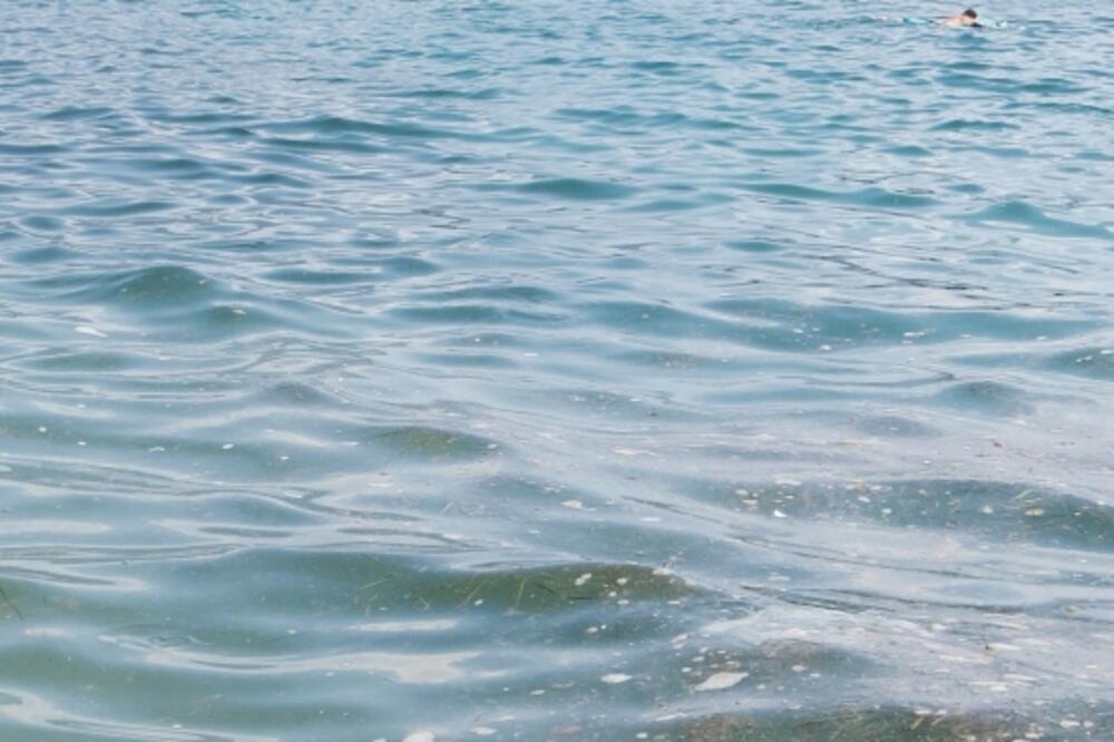 Bijela, Foto: Privatna arhiva