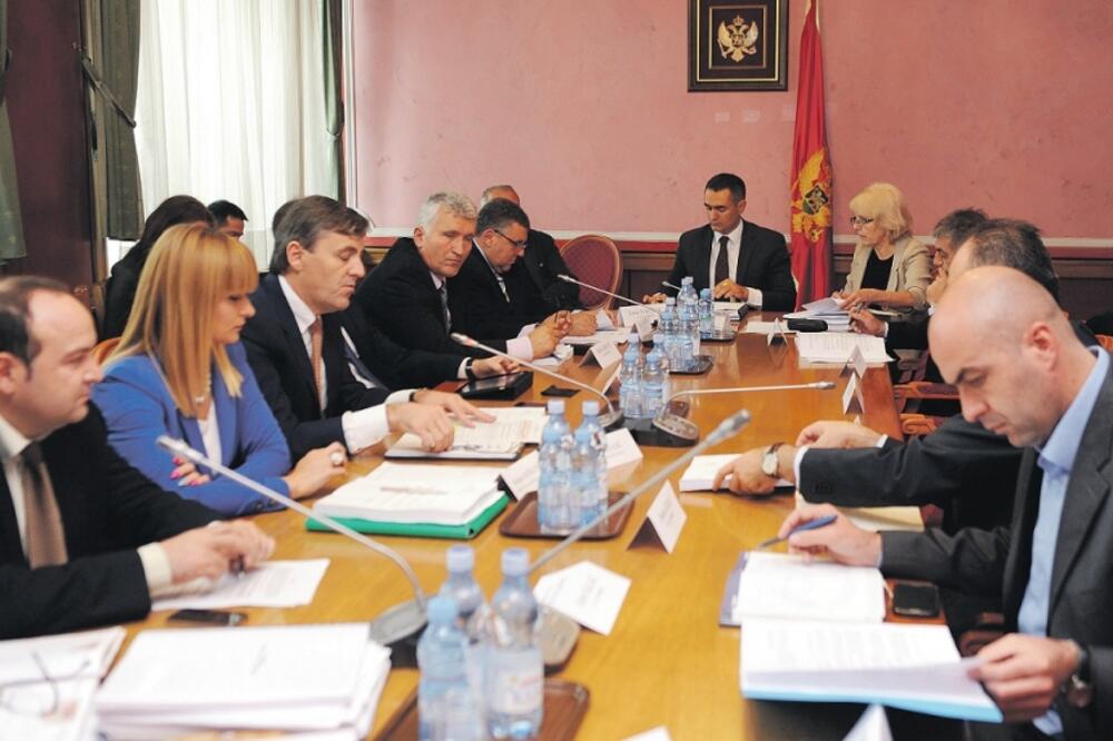 Odbor za ekonomiju, Foto: Savo Prelević