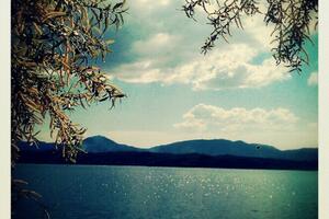 Nikšićki ekolozi postavljaju info tabli sa eko porukama