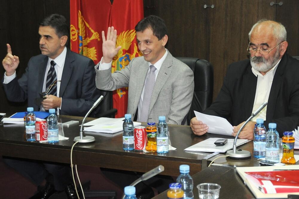 Socijalni savjet, Foto: Zoran Đurić