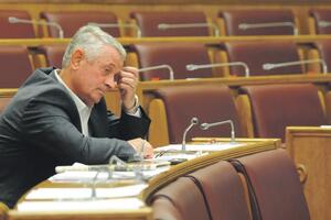 Husnija Šabović optužen za bespravnu sječu šume