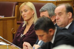 Jasavić: Ustavni odbor da predlaže nosioce funkcija u pravosuđu
