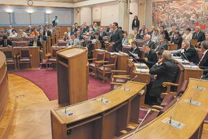Parlament i parlamentarizam (II)