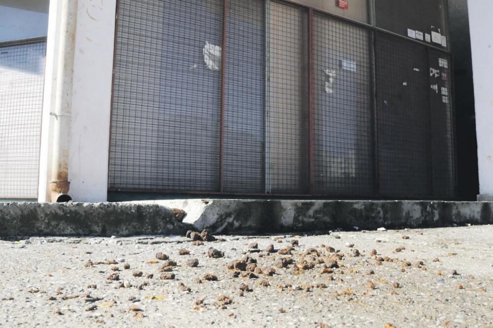 blok 6 izmet, Foto: Luka Zeković