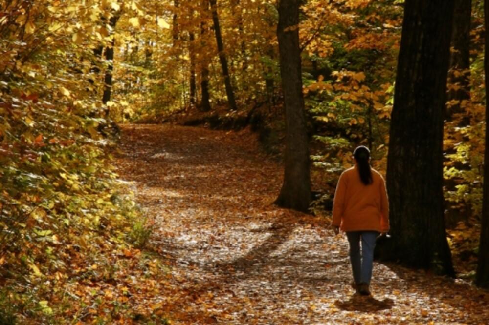 jesen, šetnja, Foto: Shutterstock