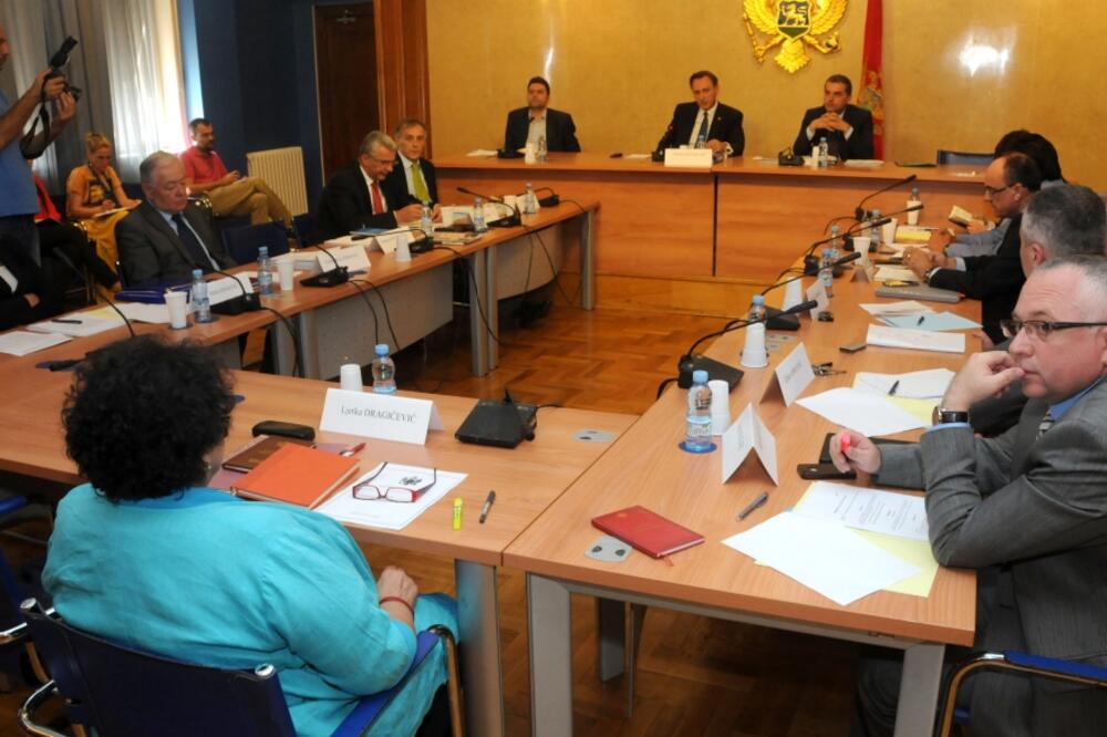 Ustavni odbor, Foto: Luka Zeković