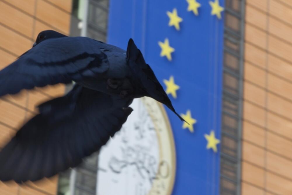 Evropska unija golub, Foto: Beta/AP