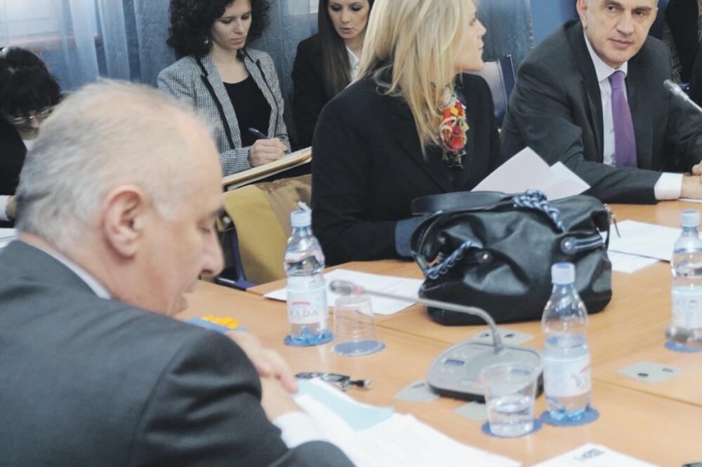 Sjednica odbora za politički sistem, Foto: Arhiva "Vijesti"