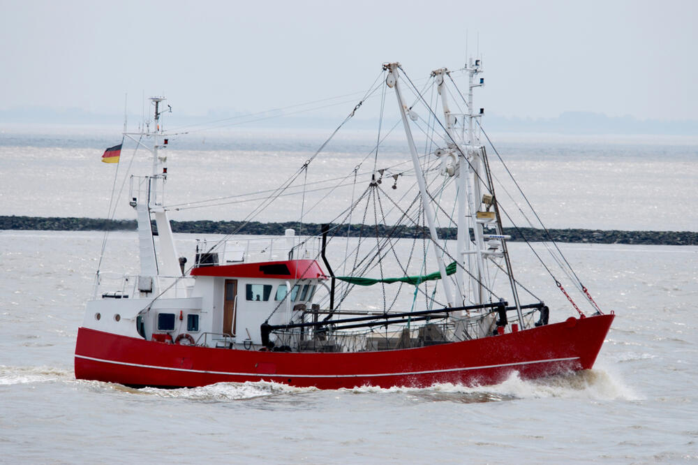 Sjeverno ledeno more, Foto: Shutterstock