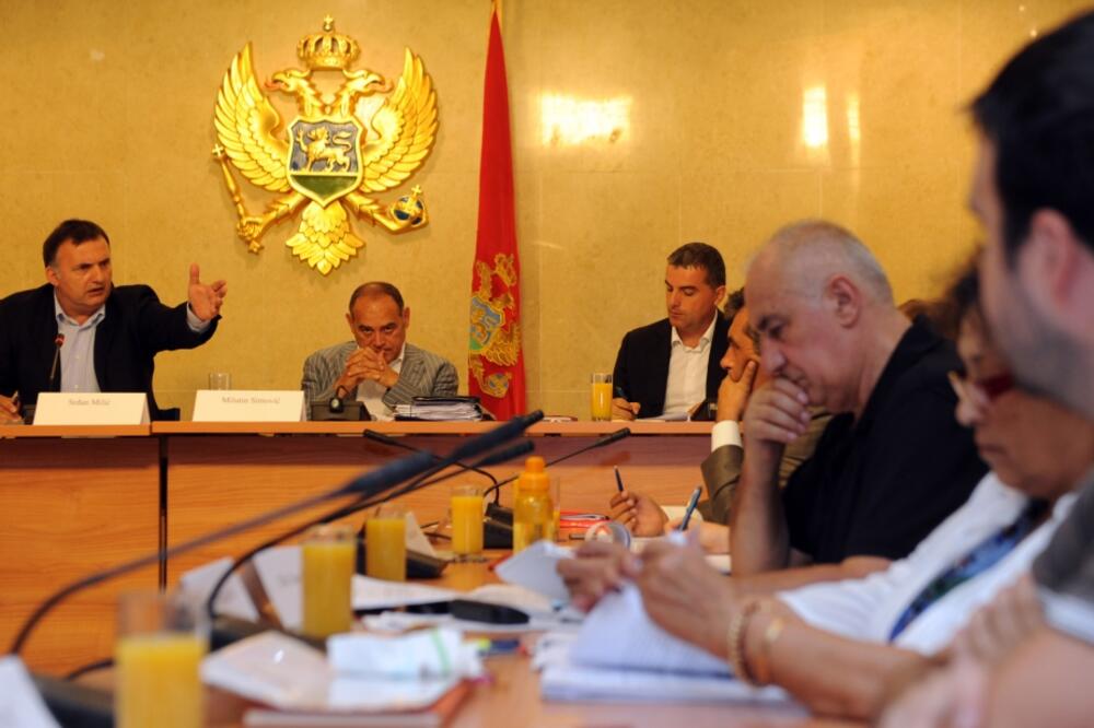 radna grupa, Foto: Savo Prelević