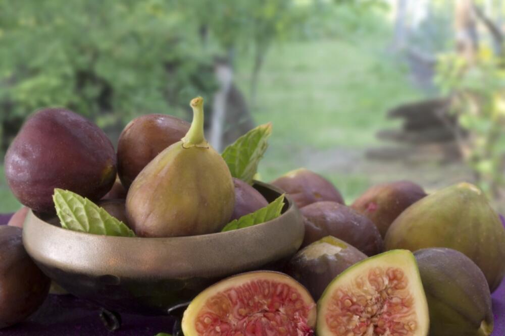 smokve, Foto: Shutterstock