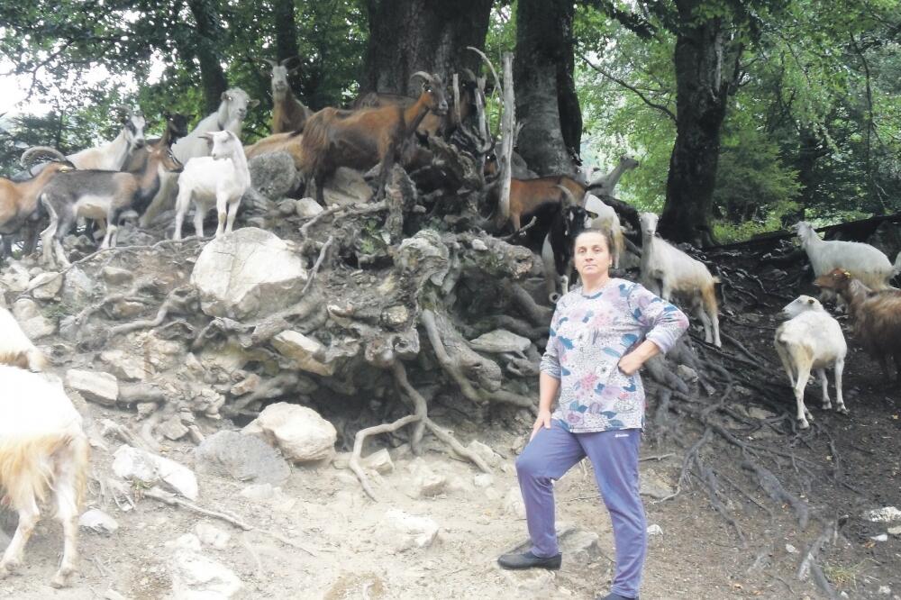 Ljiljana Vlahović, Foto: Dragana Šćepanović